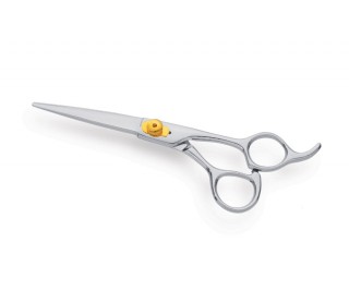 Professional Hair Cutting Scissors 